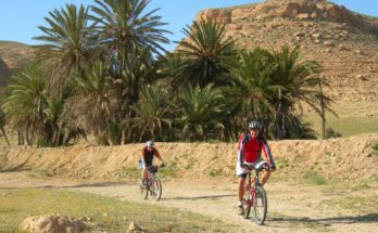 Vélo Djerba